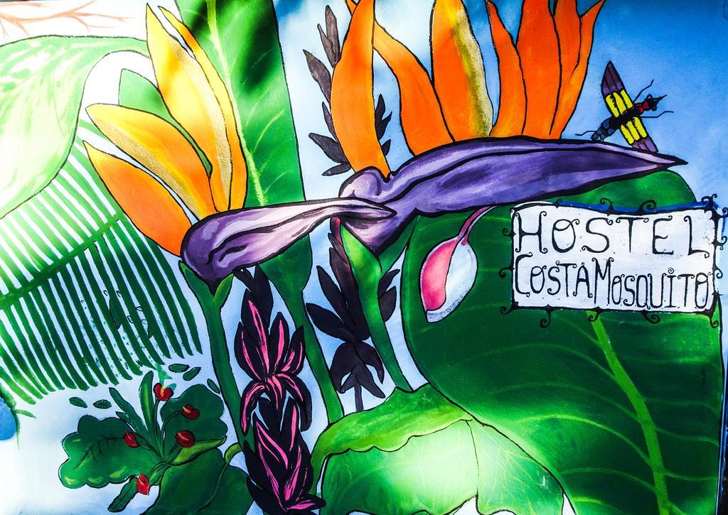 Hostel Costa Mosquito Posadas Ngoại thất bức ảnh